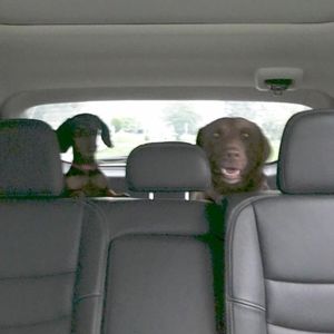 Meet your Posher, Lori